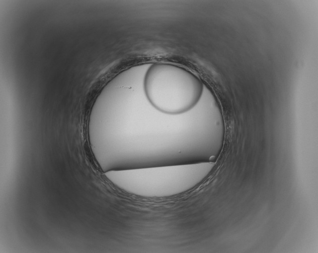 X0000110921205200906181209