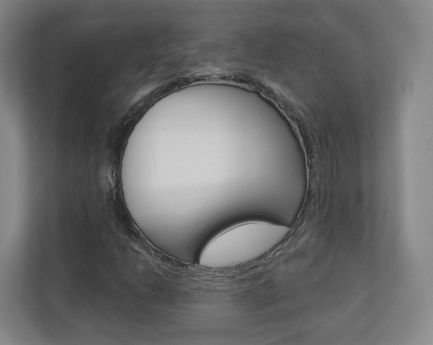X0000110921206200906181209