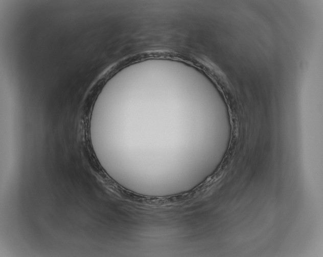 X0000110921208200906181209