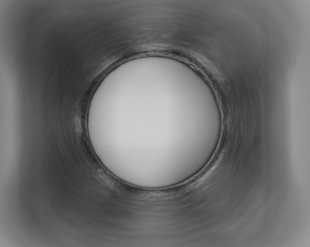 X0000110921209200906181209
