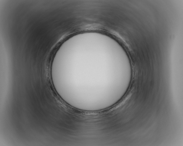 X0000110921211200906181209