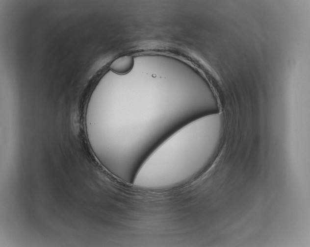 X0000110921213200906181209