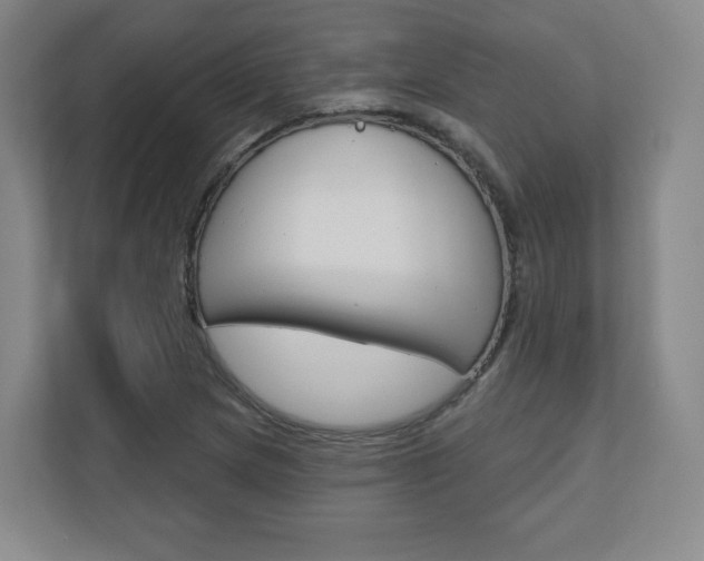 X0000110921217200906181209