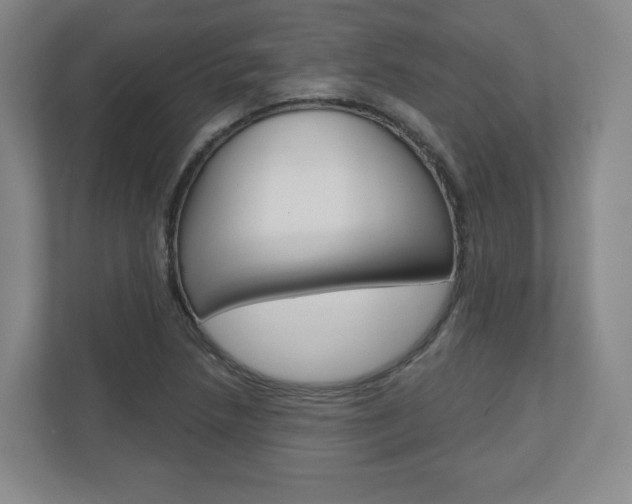 X0000110921218200906181209