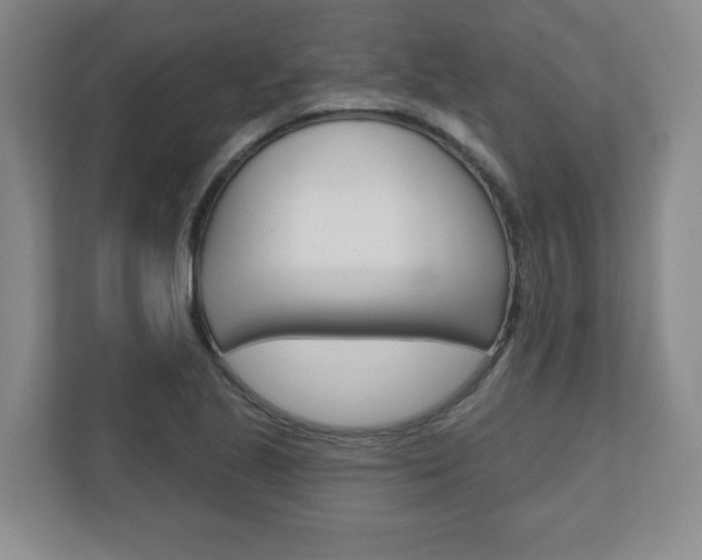 X0000110921221200906181209