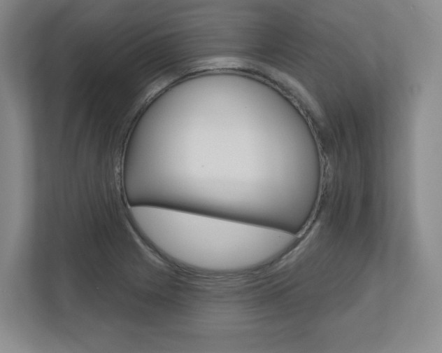X0000110921225200906181209
