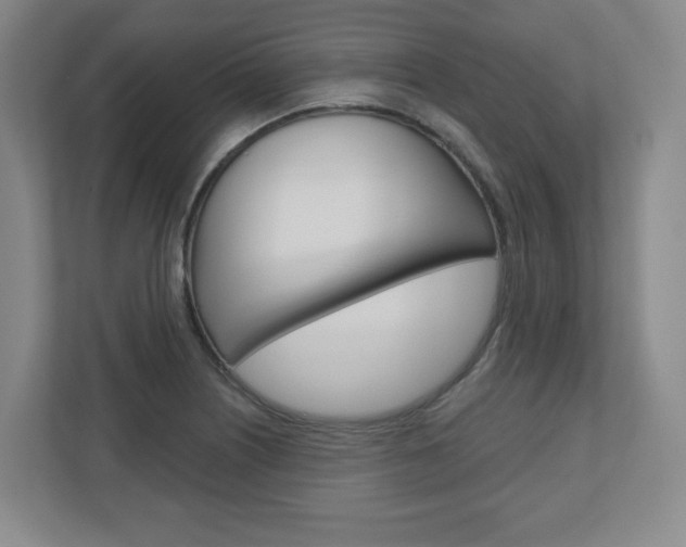 X0000110921226200906181209