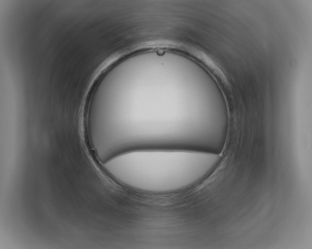X0000110921229200906181209