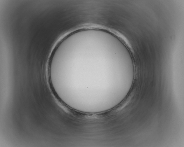 X0000110921231200906181209