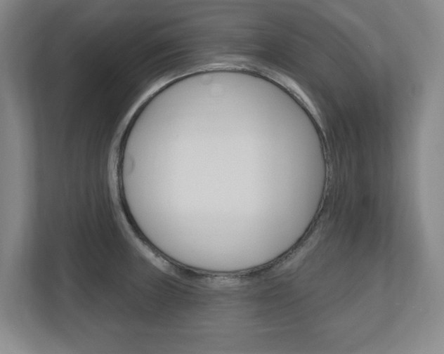 X0000110921235200906181209
