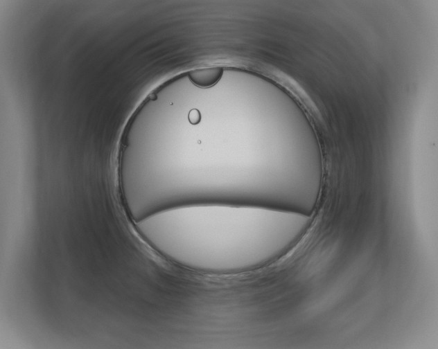 X0000110921236200906181209
