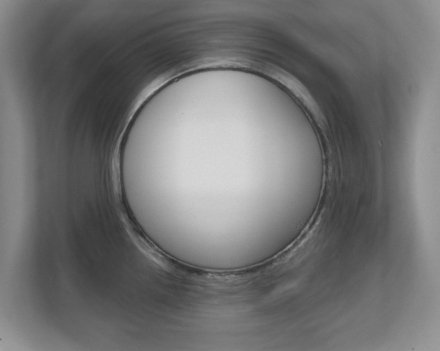 X0000110921242200906181209