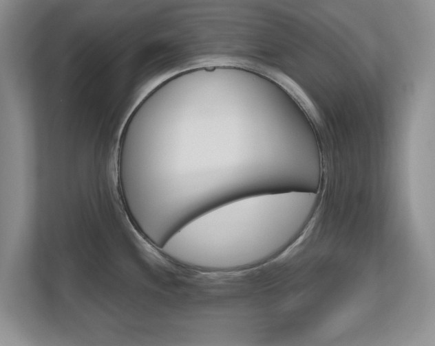 X0000110921244200906181209