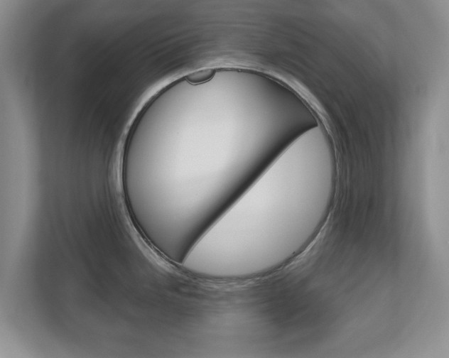 X0000110921246200906181209