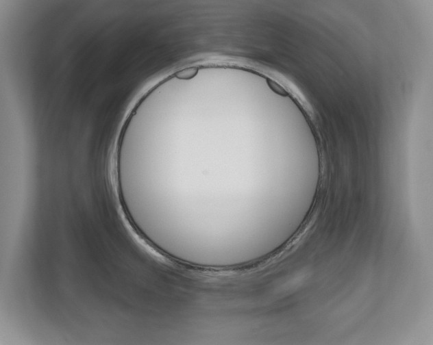 X0000110921247200906181209