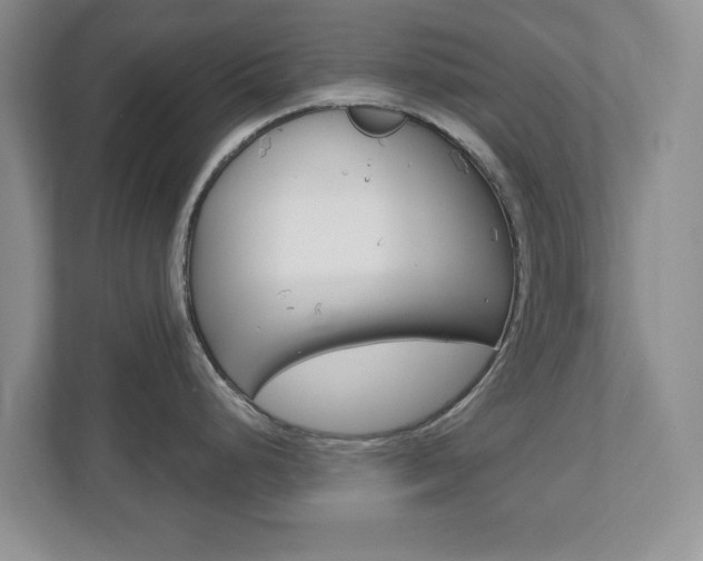 X0000110921248200906181209