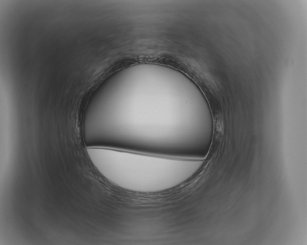 X0000110921252200906181209