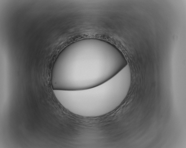 X0000110921253200906181209