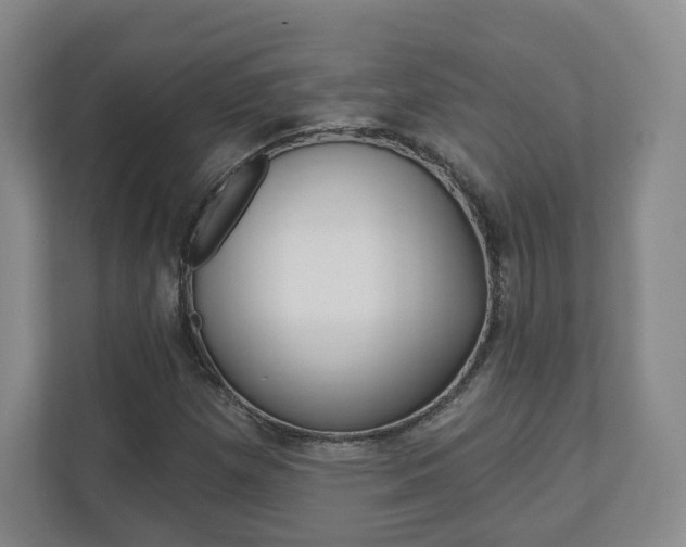 X0000110921257200906181209