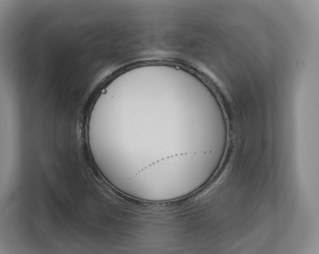 X0000110921259200906181209