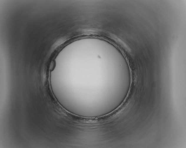 X0000110921261200906181209