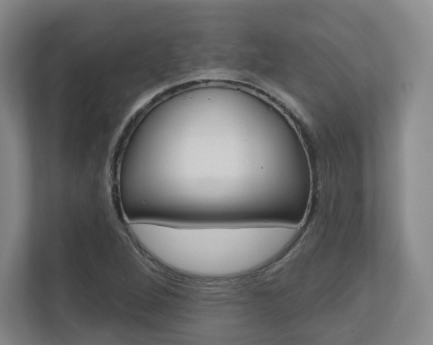 X0000110921264200906181209