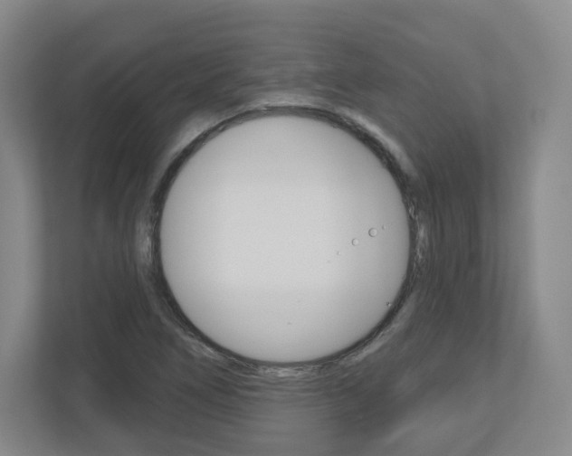 X0000110921266200906181209