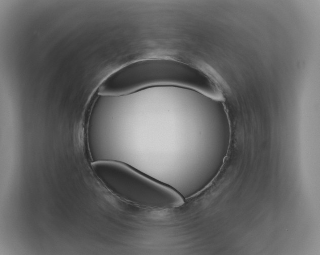 X0000110921268200906181209