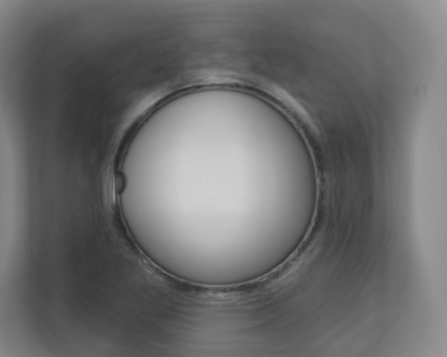 X0000110921269200906181209