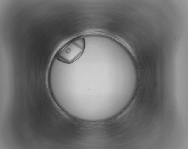 X0000110921277200906181208