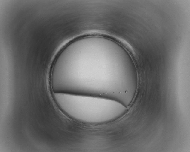 X0000110921279200906181208