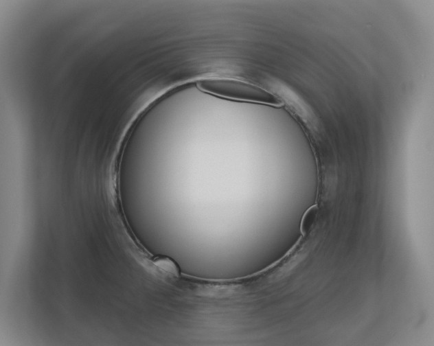 X0000110921284200906181208