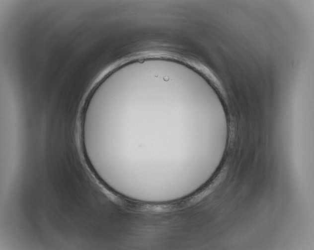 X0000110921286200906181208