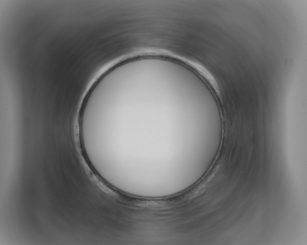 X0000110921287200906181208