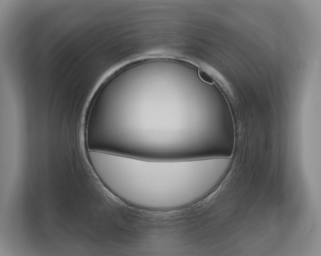 X0000110921288200906181208