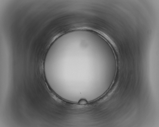 X0000110921289200906181208