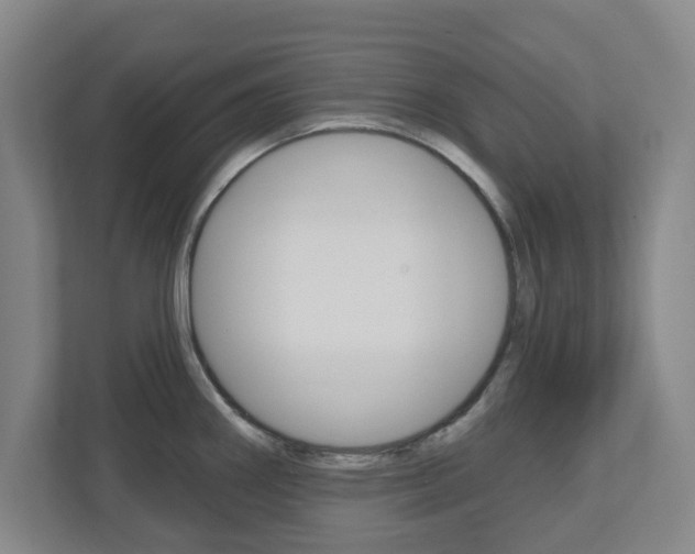 X0000110921290200906181208