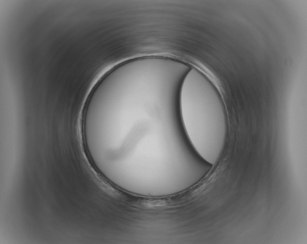 X0000110921291200906181208
