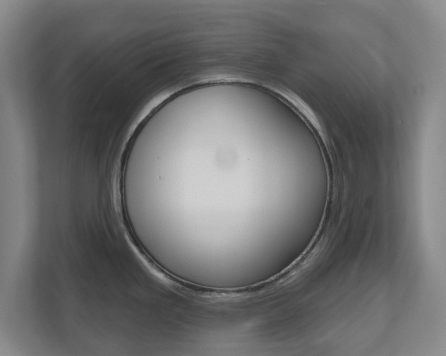 X0000110921293200906181208