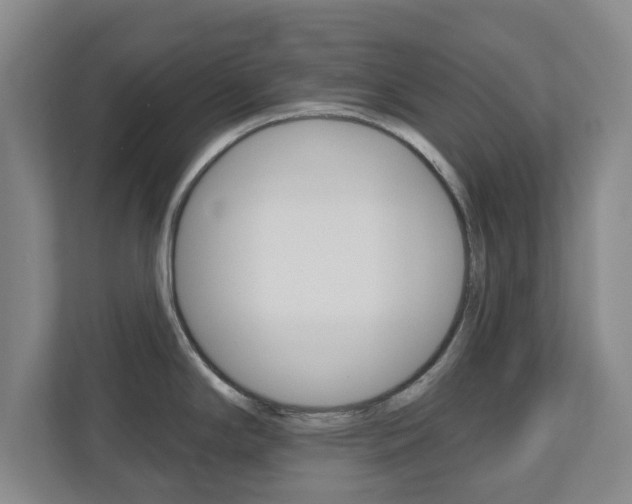 X0000110921294200906181208