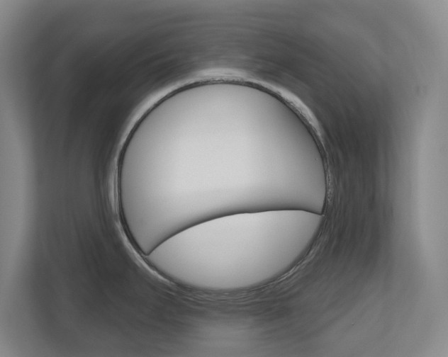 X0000110921295200906181208