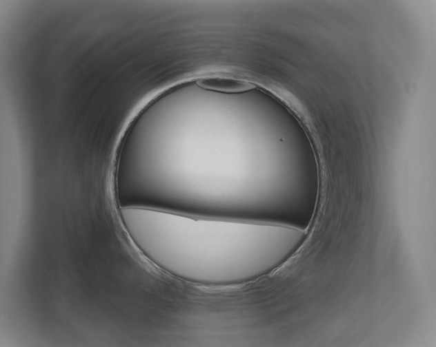 X0000110921296200906181208