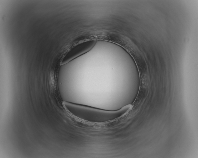 X0000110921298200906181208