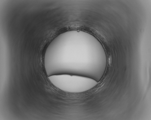 X0000110921299200906181208