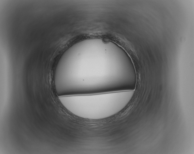X0000110921300200906181208