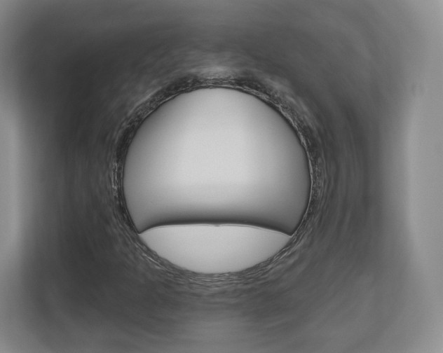 X0000110921301200906181208