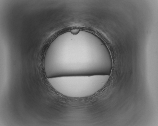 X0000110921303200906181208