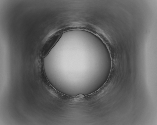 X0000110921304200906181208