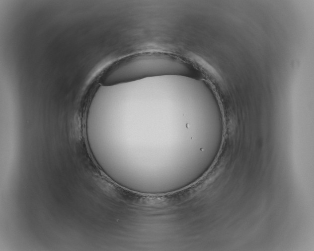 X0000110921310200906181208