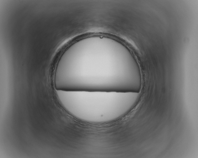 X0000110921311200906181208